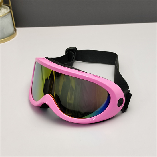 Oakley Ski Goggles 002